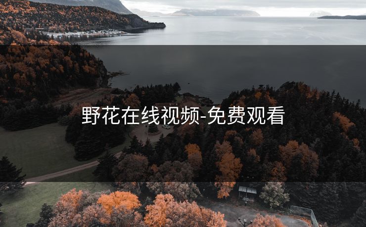 野花在线视频-免费观看