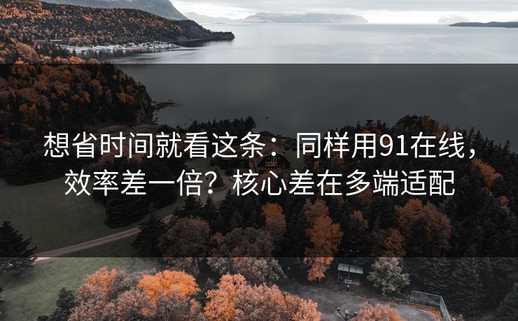 想省时间就看这条：同样用91在线，效率差一倍？核心差在多端适配