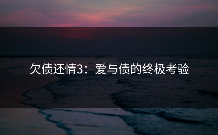 欠债还情3：爱与债的终极考验